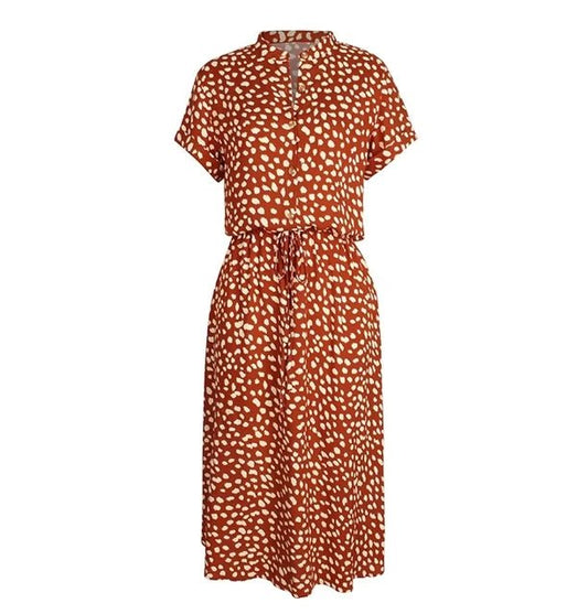 Jarely Exclusive Dress Boutique Collection