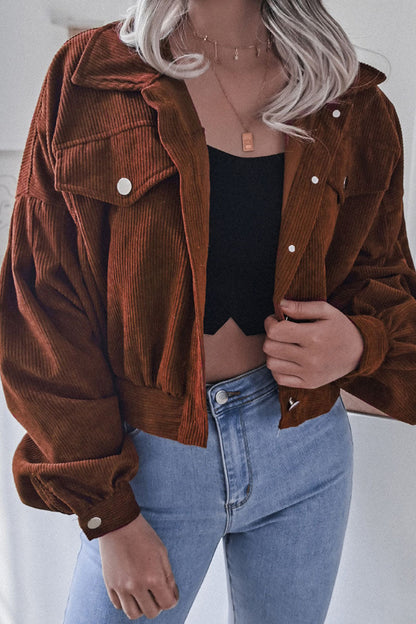 Fashion Casual Solid Turndown Collar Outerwear