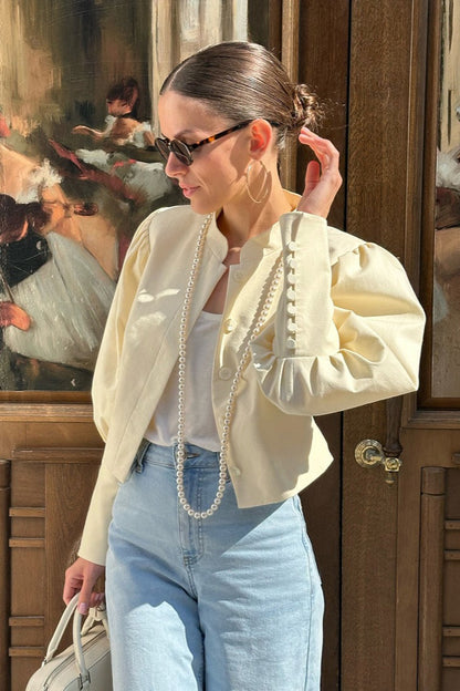 Elegant Mandarin Collar Blouse