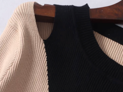 Color Block Mock Neck Fitted Knit Top