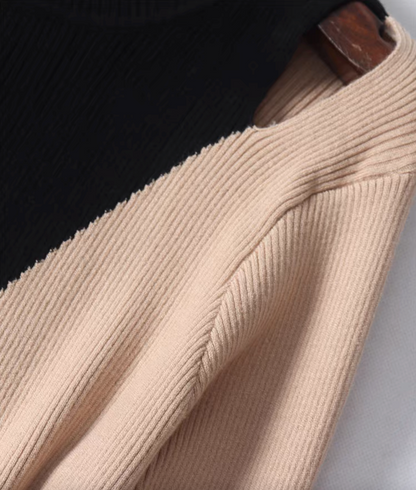 Color Block Mock Neck Fitted Knit Top