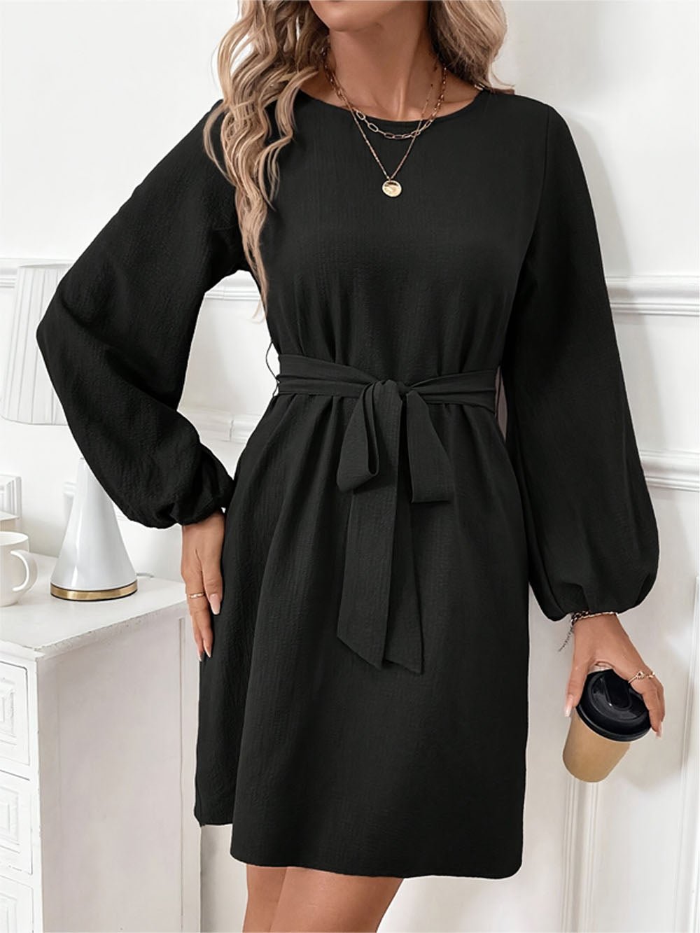 Alina Long Sleeve Mini Dress