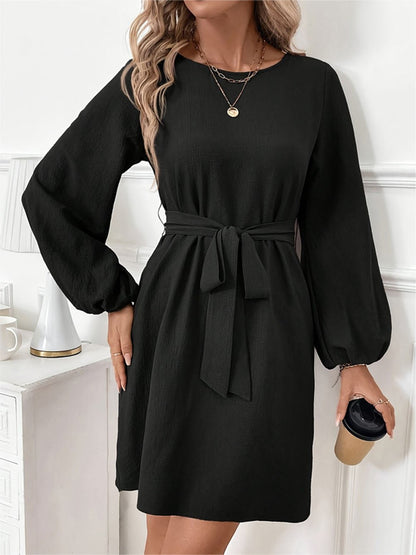 Alina Long Sleeve Mini Dress