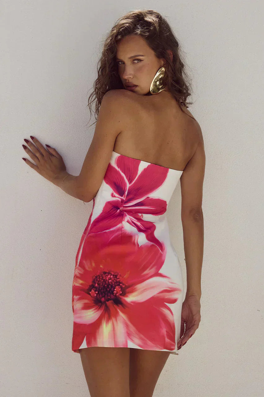 Ana Timeless Mini Dress Premium Wardrobe Essential